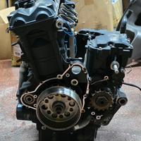 Motore completo triumph tiger 800