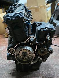 Motore completo triumph tiger 800