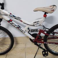 Bicicletta Frejus FM624