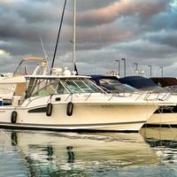 Wellcraft coastal 360