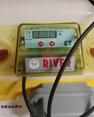 INCUBATRICE RIVER SYSTEM ET49