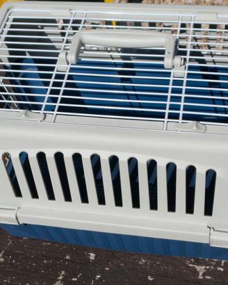 Gabbia per gatto