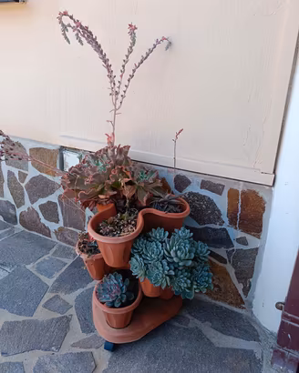 Vaso verticale e piante grasse 