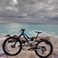 ancillotti scarab Evo 29