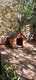 cuccia per cani taglia grande