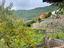 Immagine 22