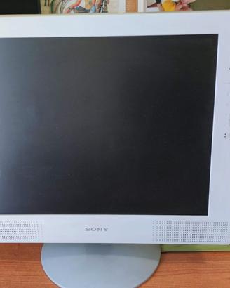 Monitor Sony 19 pollici sdm-m81