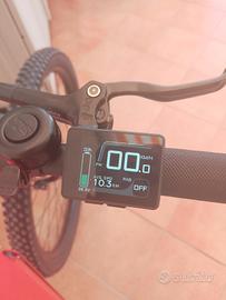 Mountain bike elettrica 