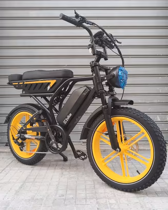 Bicicletta elettrica TST® R9 Ultra 48V 15Ah + 25Ah