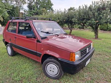 panda 