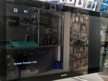 Computer Only-one Sony VaioSVL241A11M non funziona