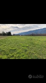 Terreno agricolo