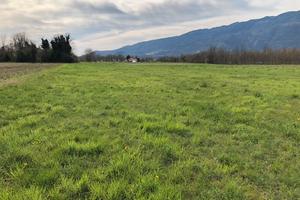 Terreno agricolo
