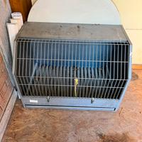 Trasportino per cani da auto