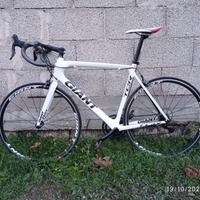 Bdc Giant TCR Advance 