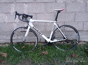 Bdc Giant TCR Advance 