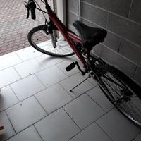 MTB 26" – 6 Rapporti