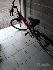 MTB 26" – 6 Rapporti