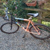 Mountain bike Atala uomo 