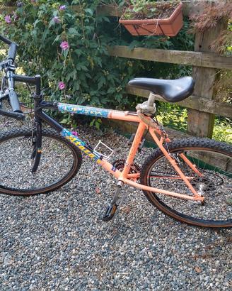Mountain bike Atala uomo 