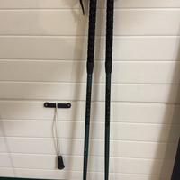 Bastoncini sci atomic