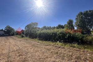 Terreno Agricolo Terracina [Cod. rif 3164267VRG]