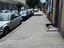 Immagine 6