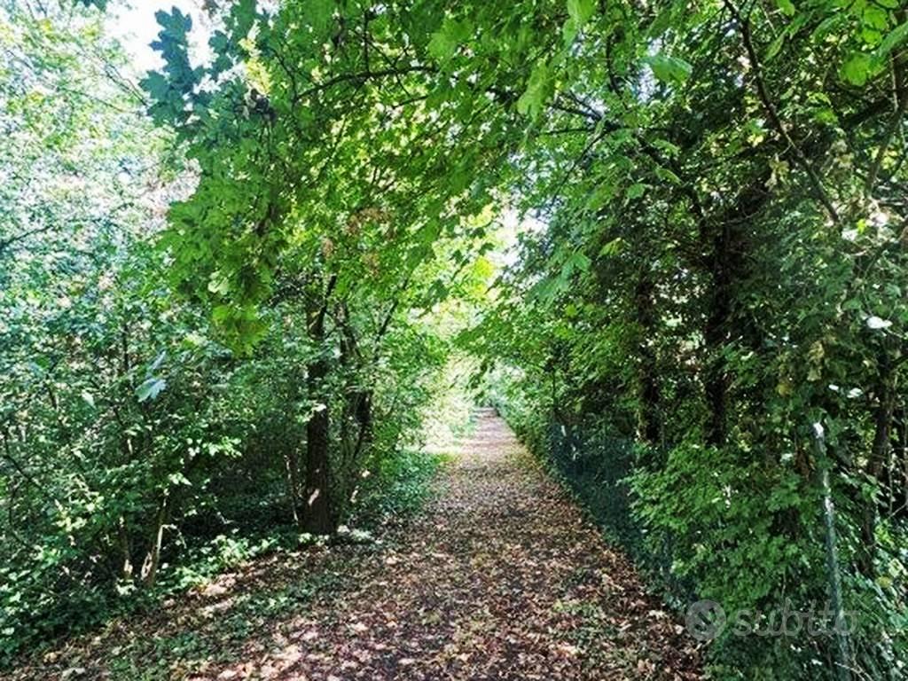Terreno di 5000 m² a Parma - Vista 4