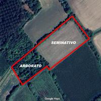 Terreno agricolo - Bannia di Fiume Veneto (PN)