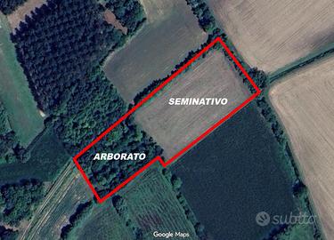 Terreno agricolo - Bannia di Fiume Veneto (PN)