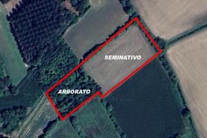 Terreno agricolo - Bannia di Fiume Veneto (PN)