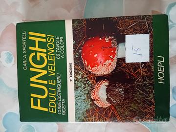 funghi