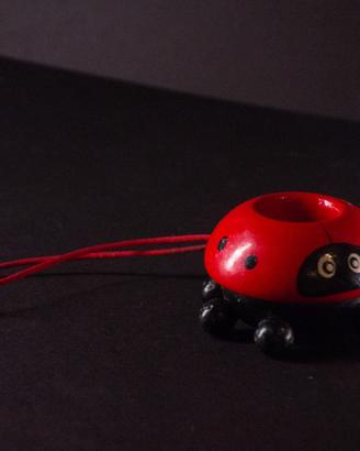 Caleidoscopio per vista da mosca