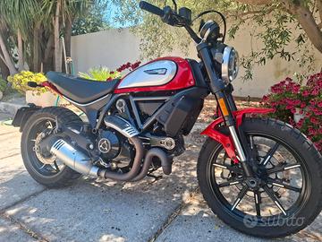 Ducati scrambler 800 icon  2022