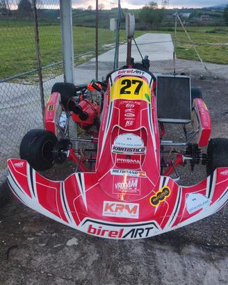 Telaio birel s16