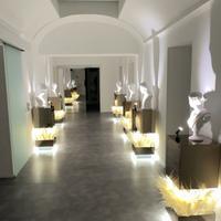 Stanze e ambulatori medici per professionisti