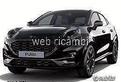 Ford puma stline musata frontale