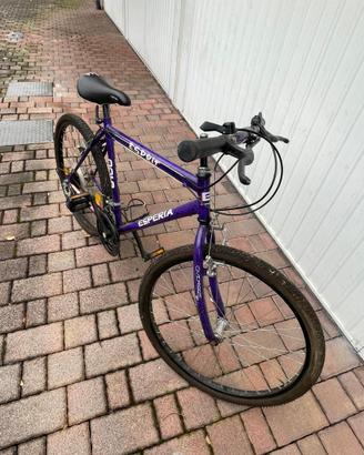 Mountain bike tradizionale ESPERIA mod. Esprit 810