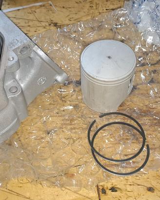160 polini per aprilia rotax 123
