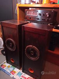 Diffusori auto-costruiti Ciare