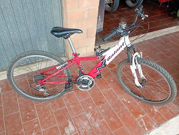 Bicicletta  taglia 24