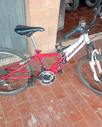 Bicicletta  taglia 24