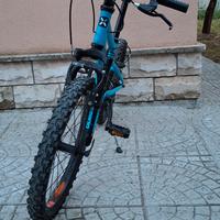 MTB 20 POLLICI