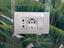Immagine 12