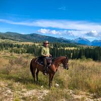 Cavalla in mezza fida