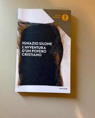 Le avventure di un povero cristiano
