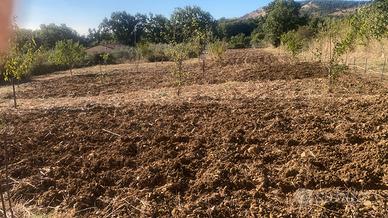 Terreno località Gisa Petralia sottana