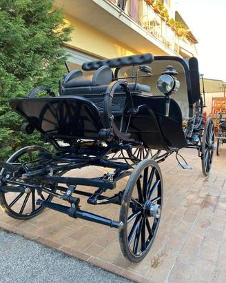 Carrozza mod. Caleche su cinghie (030)