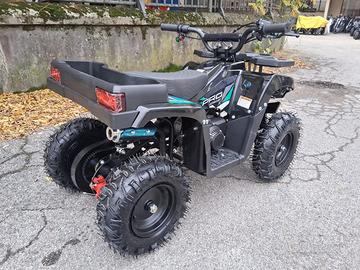 QUAD 50cc PORTAOGGETTI AVV. ELETTRICO RUOTE 6