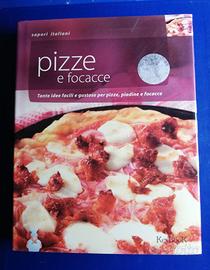 Pizze e focacce Keybook, 2008